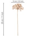 Rama artificial de bayas, decoración color champán, 28 cm, 3 piezas | Floristik24.es