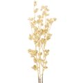 Floristik24 Decoración de ramas de bayas artificiales, color dorado, 70 cm, 3 piezas