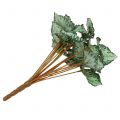 Floristik24 Begonia artificial arbusto verde 30cm