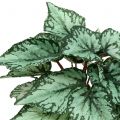 Floristik24 Begonia artificial arbusto planta artificial verde 34cm