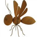 Floristik24 Figura decorativa abeja, insecto de metal, decoración de jardín con pátina L20cm H19cm