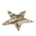 Estrellas de abedul 6cm 100 piezas | Floristik24.es