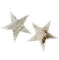 Floristik24 Estrellas de abedul nieve natural 9cm 15pcs