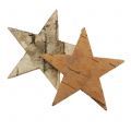 Floristik24 Estrellas de abedul 5cm naturaleza 60p