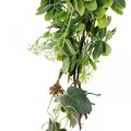 Floristik24 Guirnalda de hojas guirnalda decorativa planta artificial verde 180cm