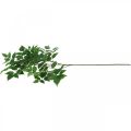 Floristik24 Deco Branch Rama de hojas artificiales Rama de abedul verde 90cm