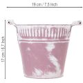 Cubo de hojalata, lavado en morado y blanco, Ø19cm H17cm, 1 unidad. | Floristik24.es