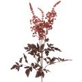 Floristik24 Flor artificial Astilbe de tallo largo, espléndida, 80 cm.