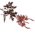 Flor artificial Astilbe de