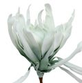 Floristik24 Espuma de rama de flor blanca, verde 72cm