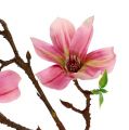 Floristik24 Magnolia mini rosa, rosa L53cm 3 piezas