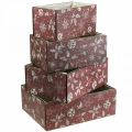 Floristik24 Caja de flores Macetero navideño madera rojo juego de 4