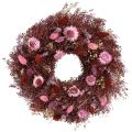 Floristik24 Corona de flores, corona de flores secas, rojo vino, rosa, Ø25cm