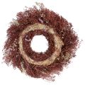 Corona de flores, corona de flores secas, rojo vino, rosa, Ø25cm | Floristik24.es