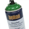 Floristik24 Belton free pintura base agua alto brillo color spray 400ml