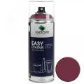 Floristik24 OASIS® Easy Color Spray, pintura en spray Erika 400ml