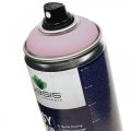 Floristik24 OASIS® Easy Color Spray, pintura en spray rosa suave 400ml