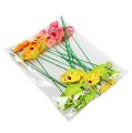 Floristik24 Flor enchufe regadera colorido jardín enchufe primavera decoración 16 piezas