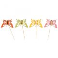 Floristik24 Flor plug mariposa deco color madera 8.5cm 12pcs