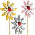 Floristik24 Deco plugs flores con mariquitas decoración primavera madera Ø5cm 18p