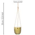 Maceta/farol colgante de cristal, morado/verde, 14 cm, 2 unidades | Floristik24.es