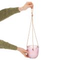 Maceta/farol colgante de cristal, morado/verde, 14 cm, 2 unidades | Floristik24.es