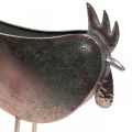 Maceta Pollo Metal Pájaro Metálico Rosado 51×16×37cm