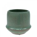 Floristik24 Macetero macetero de cerámica con ranuras verde Ø12cm H10.5cm