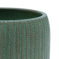Floristik24 Macetero macetero de cerámica surcos verde Ø10cm H8.5cm