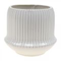 Floristik24 Macetero macetero de cerámica con ranuras blanco Ø14,5cm H12,5cm