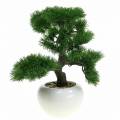 Floristik24 Árbol de los bonsais en maceta de cerámica Pino japonés artificial H36cm