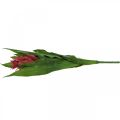 Floristik24 Bromelia artificial Rosa Flor artificial para pegar 54cm