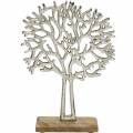 Floristik24 Árbol decorativo haya plata, silueta de árbol de metal, árbol decorativo en madera de mango
