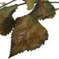 Floristik24 Deco rama haya artificial rama otoño rama deco 115cm