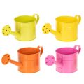 Floristik24 Regadera decorativa colorida, Ø11cm, H9.5cm, para plantar, decoración de mesa primaveral, metal, juego de 8