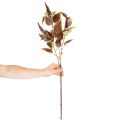 Coleo artificial con hojas rojas, planta artificial, 20 cm | Floristik24.es