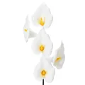 Floristik24 Cala artificial con estambres amarillos, flores decorativas, 35 cm, 10 unidades.