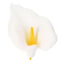 Cala artificial con estambres amarillos, flores decorativas, 35 cm, 10 unidades. | Floristik24.es