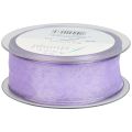 Floristik24 Cinta de gasa cinta de organza cinta decorativa organza violeta 40mm 20m