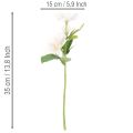 Ramo de rosas artificiales de Navidad, ramo navideño, 35 cm, 6 unidades | Floristik24.es