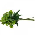 Rosa de Navidad Rosa de Cuaresma Eléboro flores artificiales verde L34cm 4pcs