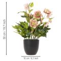 Planta artificial de heléboro en maceta, rosa de Navidad, para decoración del hogar, 50 cm. | Floristik24.es