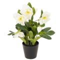 Floristik24 Rosa artificial de Navidad, planta en maceta, decoración de mesa, 34 cm.