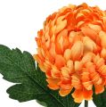 Floristik24 Crisantemo Naranja Ø7cm L18cm 1ud