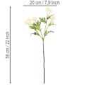 Flor de crisantemo artificial, ramo blanco crema, rama decorativa, grande 56 cm, 4 piezas | Floristik24.es