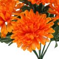 Floristik24 Crisantemo Naranja con 7 flores