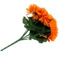 Floristik24 Crisantemo Naranja con 7 flores
