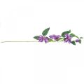 Floristik24 Clemátide artificial, flor de seda, rama decorativa con flores de clemátide violeta L84cm
