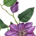 Floristik24 Clemátide artificial, flor de seda, rama decorativa con flores de clemátide violeta L84cm