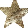 Floristik24 Coconut star gold 5cm 50pcs para hacer y pegar una corona de Adviento